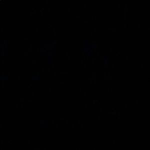 Meet your Posher, Dan